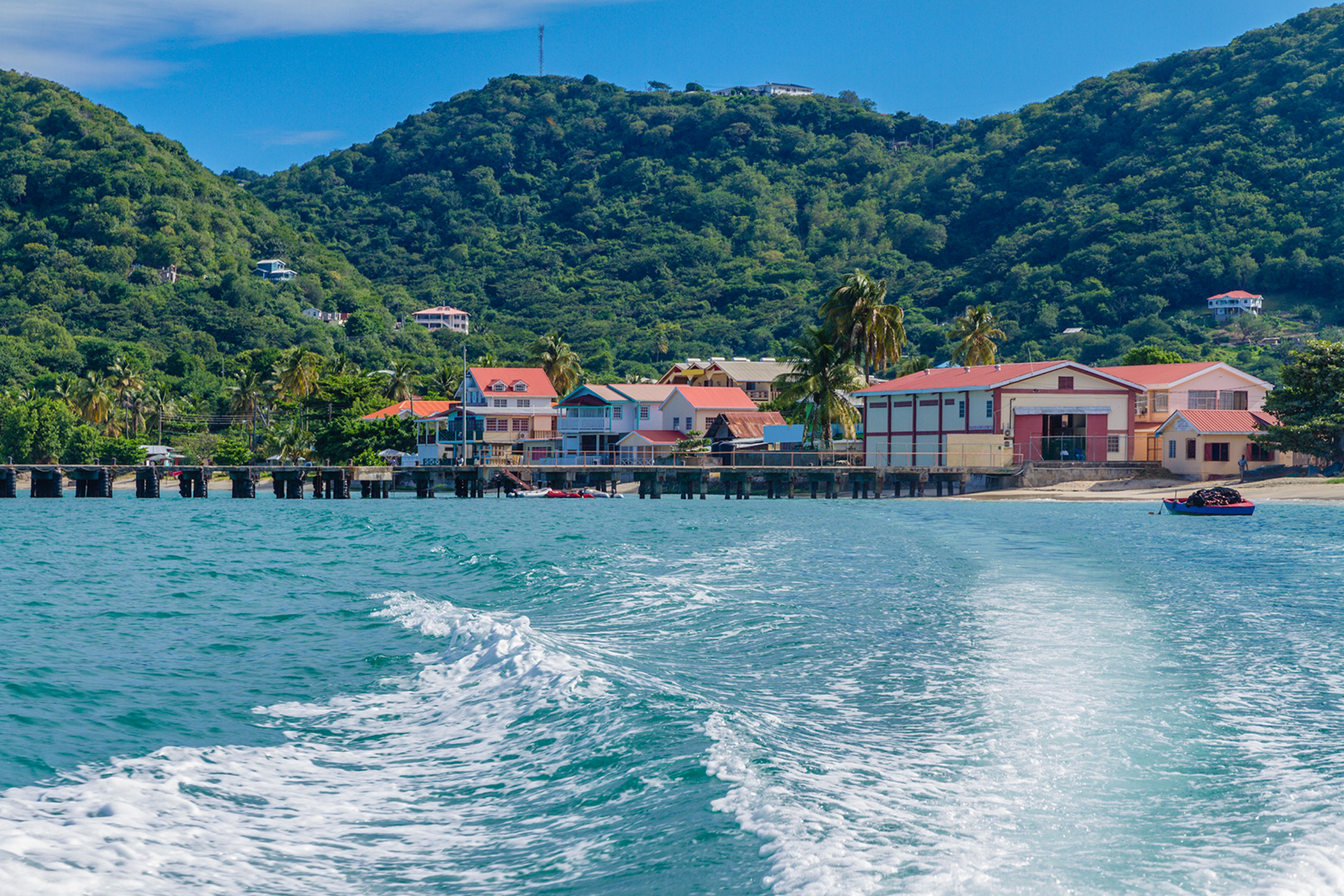 43 carriacou island.webp